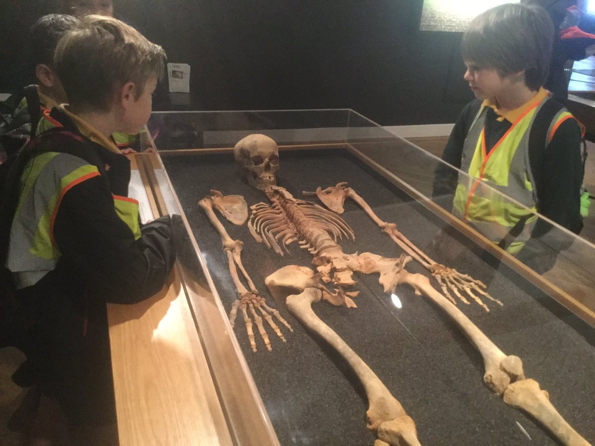y4_windmill_ce's tweet photo. 4W are far from being 'bone idle' on our trip! Finding out lots about bones and teeth #learningeveryminute #leedscitymuseum https://t.co/RhgJrDOTb8