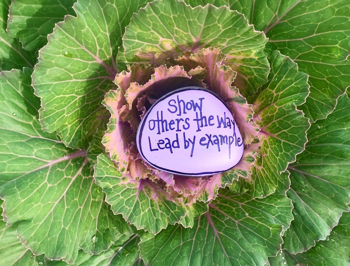 theKindnessrock's tweet photo. Lead by exampleโ๐ป
#thekindnessrocksproject #makekindnessrocks https://t.co/AMSg4513no