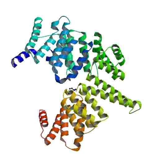 BiologyAnswers's tweet photo. 1. What are proteins? How can diversity of proteins in living organisms be explained? #biochemistry #biology https://t.co/iqjZ4pA7dZ https://t.co/QqyhWNac6b