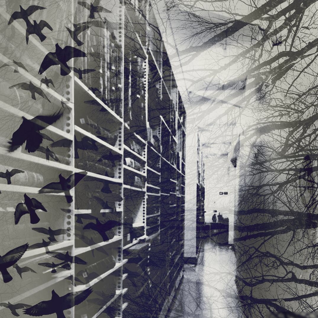 UofGlasgowASC's tweet photo. Today #conservationkeyhole can be moody & be a little witch ๐ Happy Halloween ๐time to read https://t.co/JDiorDPdvA https://t.co/qhOuks4X4X
