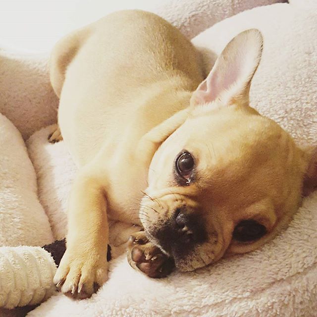 ALLER PLUS LOIN < Pour découvrir tous nos cosmétiques vegan abonnez-vous à notre Board Pinterest : bit.ly/2z10zRk