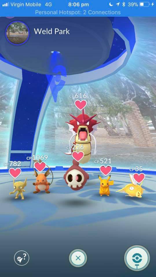 FLWvideos's tweet photo. This shiny gym is beautiful! #ShinyTime #PokemonGo https://t.co/Wnyu8n5lLR