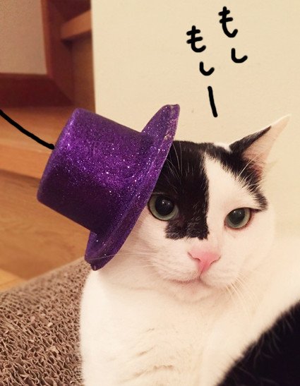 makomakoland's tweet photo. 糸電話 https://t.co/uZVKutg5yD https://t.co/errT6Paqg6