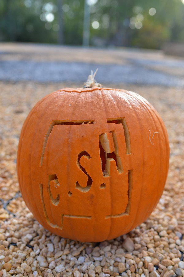 campsealeharris's tweet photo. #HappyHalloween from #CampSealeHarris! We hope you gather enough candy to treat lows for months to come! #CSH2017 #T1D https://t.co/xXpmNb7u0p