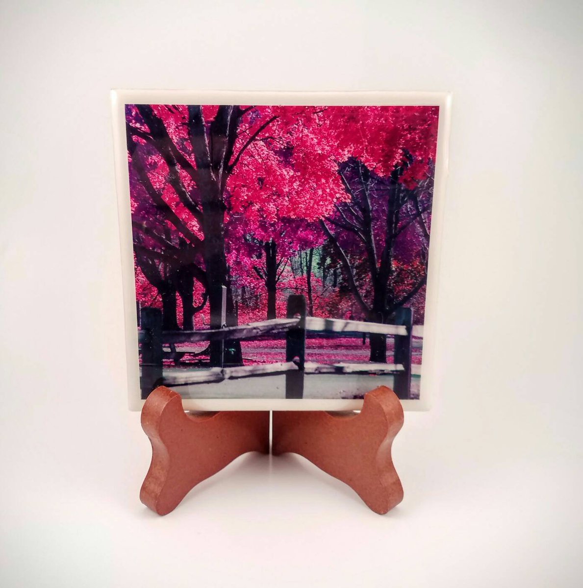 dovesclosetinc's tweet photo. Fall at Chain O Lakes Handmade Photo Coaster, F00I1 https://t.co/0WoC3p2St7 #Etsy #PhotoCoaster https://t.co/RzauDCOyRE