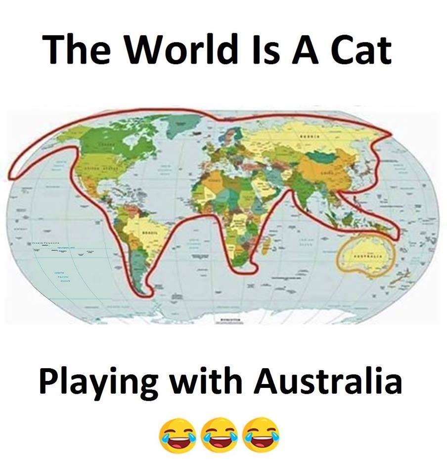 Kamei Nobutaka 世界とは オーストラリアで遊ぶネコである この世界地図 かわいい