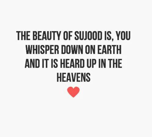 ameliaaalr's tweet photo. https://t.co/qOI3fh4L1V