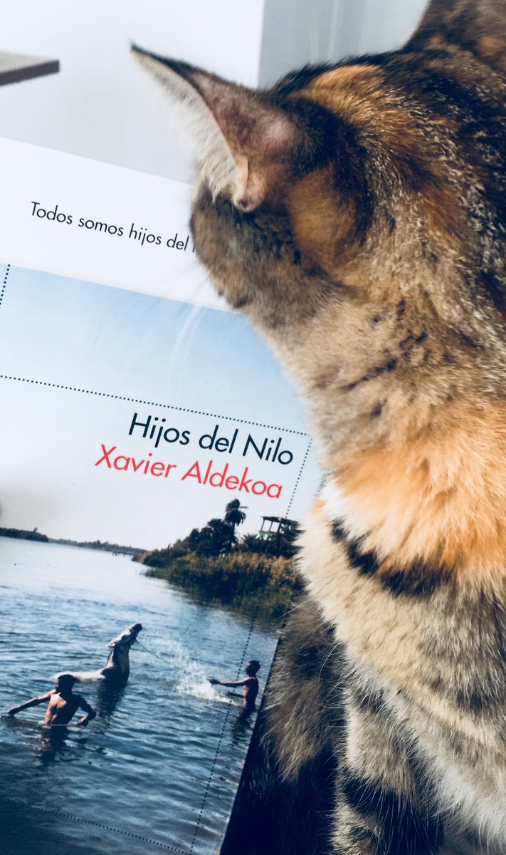 marlopez014's tweet photo. Empezamos con muchas ganas «Hijos del Nilo», de @xavieraldekoa 🤓 https://t.co/fMitL7Zckh