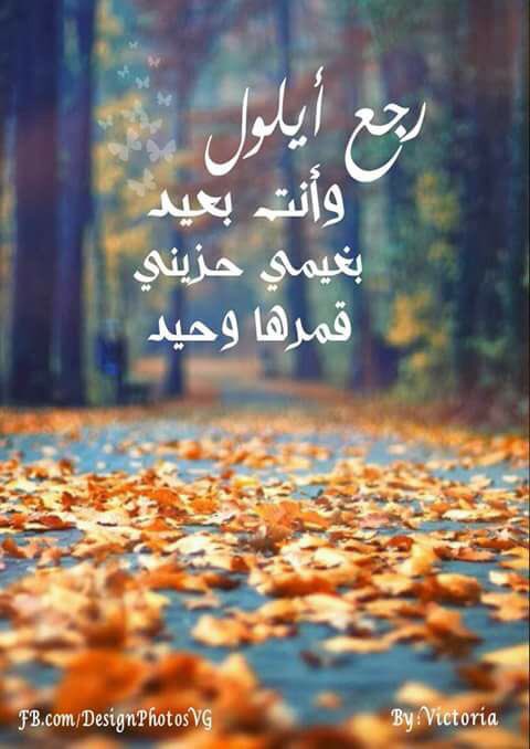 AMMARsyrian's tweet photo. رجع أيلول .. وإنت بعيد .. وغيمة حزينة .. قمرها وحيد ... بيصير يبكيني شتي أيلول .. ويفيقني عليك ياحبيبي ♡ https://t.co/YFOkbF6gXa
