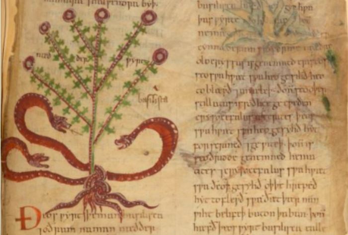 A little more #manuscriptmagic - lunch time perusing sorted! ow.ly/9Pn530gfbk8 #Halloween #HarryPotter20 #bookworm #magic #treat