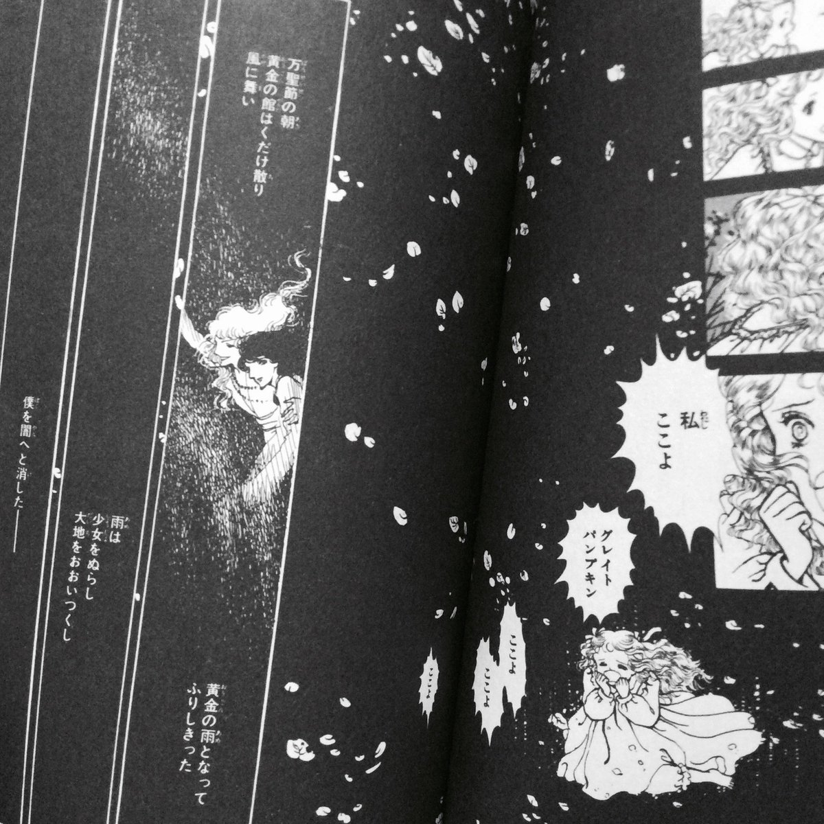 万聖節に黄金の雨がふる