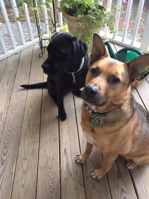 Burkhead Brand Group tweet media