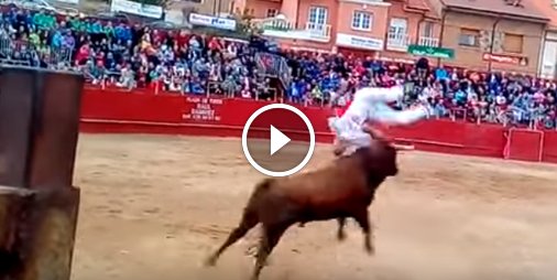 Un taureau se venge et envoie le torero dans les airs... ☛ bit.ly/2A45l0r