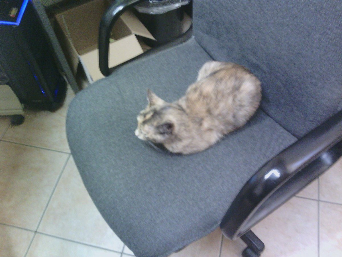 anlu2003 tweet picture