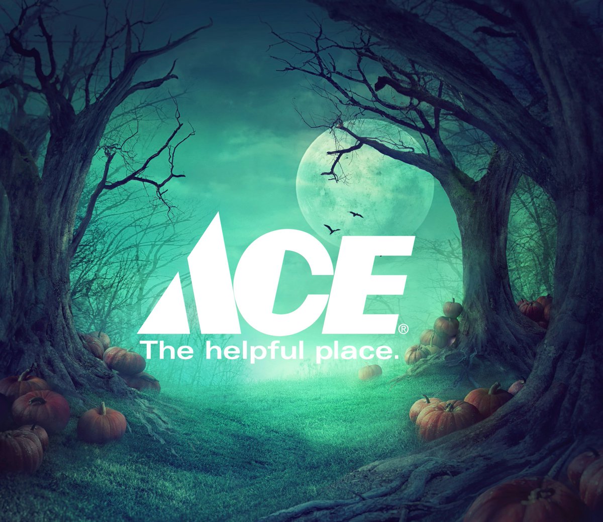 MyHelpfulAce's tweet image. BOO! Happy Halloween from your neighbors at Ace! We hope all you ghouls have a safe and spooktacular day! #boo #Helpful #MyLocalAce