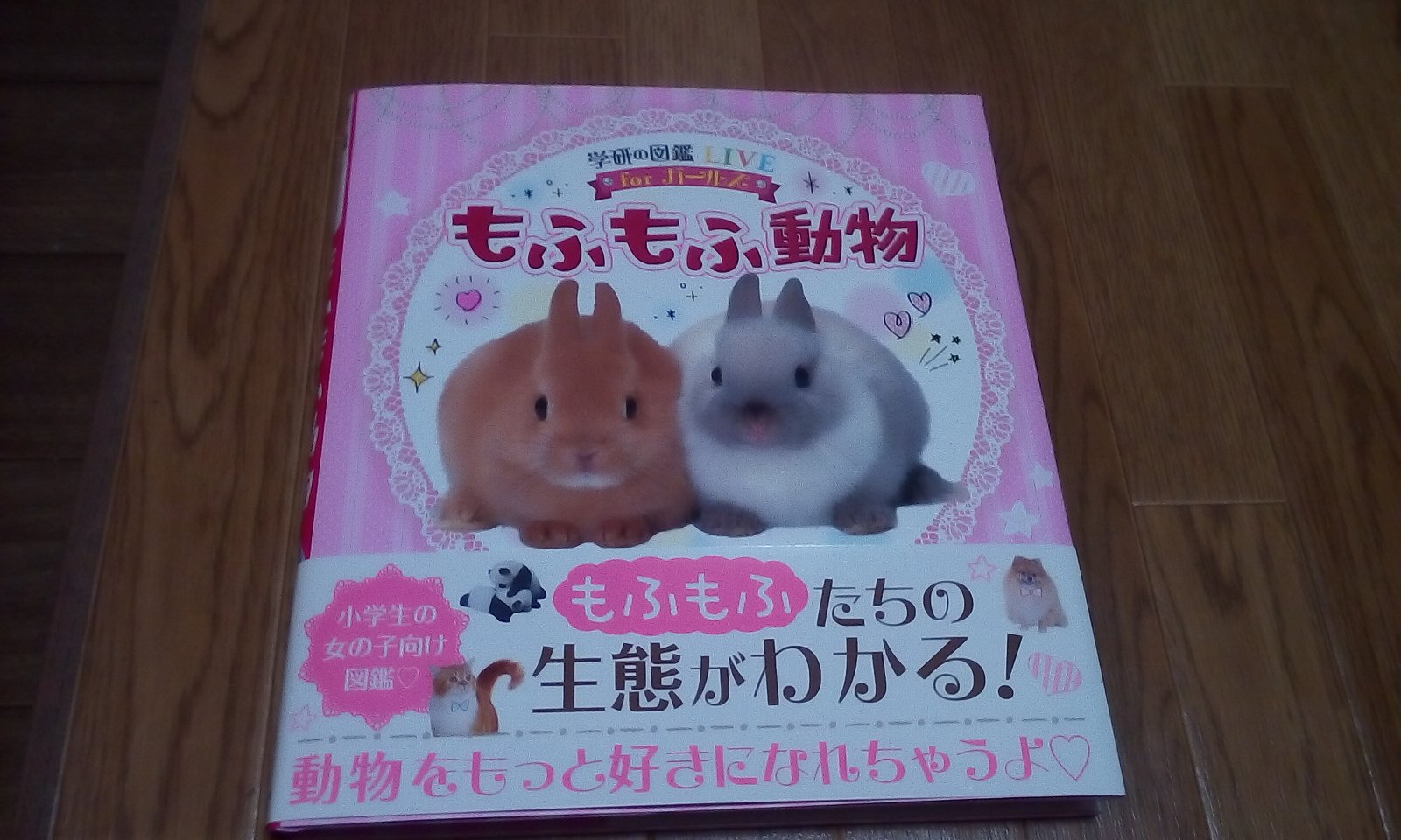 よりん うちの娘曰く もふもふ感がたまらない とのこと なぜか音読してましたw 学研の図鑑liveforガールズ もふもふ動物 学研 もふもふ動物 よりん うちの娘曰く もふもふ感がたまらない とのこと なぜか音読してましたw 学研の図鑑liveforガールズ もふもふ動物 学研 もふもふ動物