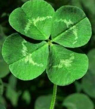 .

🔴 대한애국당 중앙당 개소식을 진심으로 축하 합니다.

👏👏👏👏👏👏👏👏👏👏👏👏👏👏👏👏👏👏👏👏👏👏

.

.

.