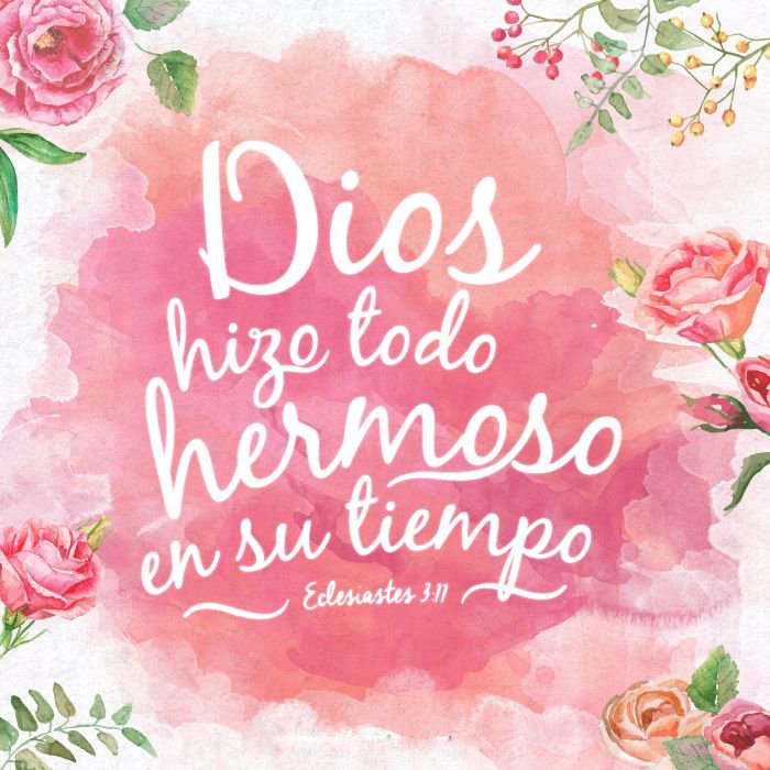Restaura1079's tweet photo. #Restauracion1079 #BibliayArmonia 
Todo lo hizo hermoso en su tiempo; y ha puesto eternidad en el corazón de ellos. Eclesiastés 3:11 https://t.co/HZ7hfpgUzZ