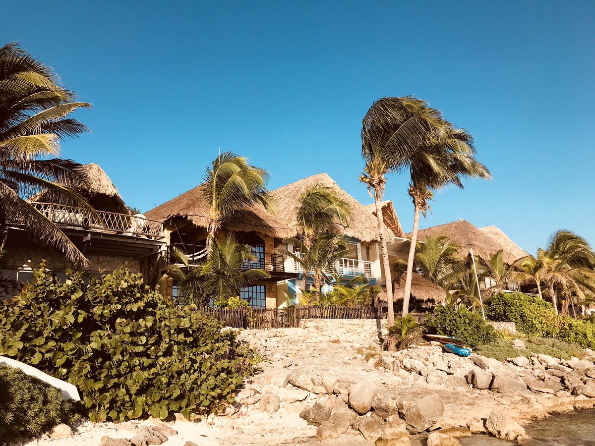 Hostea_'s tweet photo. Tag someone you want to go to Paamul, Quintana Roo, Mex. #TravelTuesday #HotDestinations 🌴🌴🌴 https://t.co/6weyWiOK0l