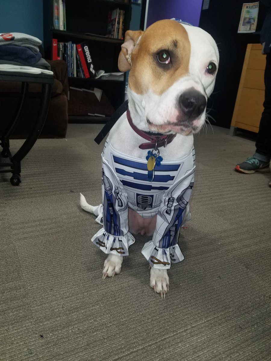 Squid_Prints's tweet photo. Despite the look of despair, Korva-D2 loves Halloween almost as much as we do! https://t.co/GyM9IOyluE