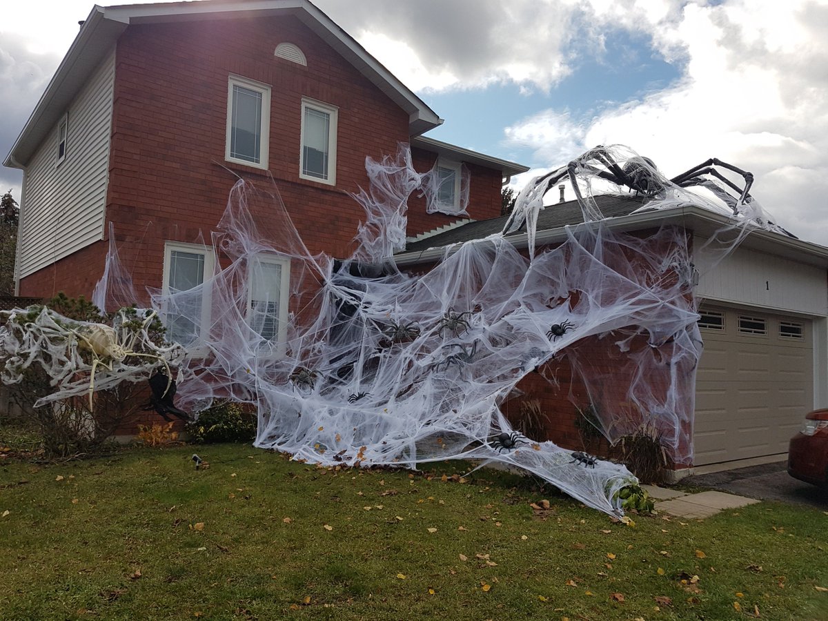 ToddSloane5's tweet photo. @aileendoyleCTV @CTVBarrieNews  https://t.co/lBY6kVxpBY