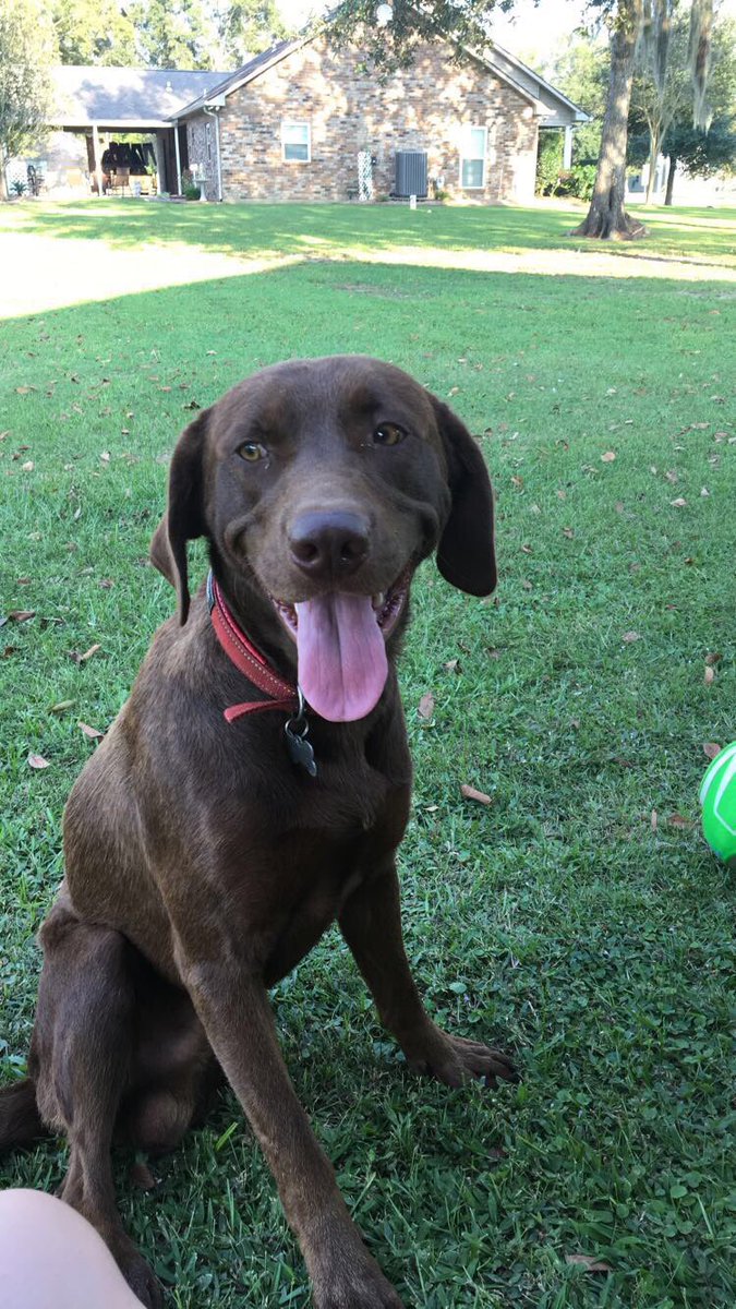 lexird1's tweet photo. nothing better than sitting outside on such a pretty day with my favorite dude ❤️ https://t.co/LHTolDbGcp