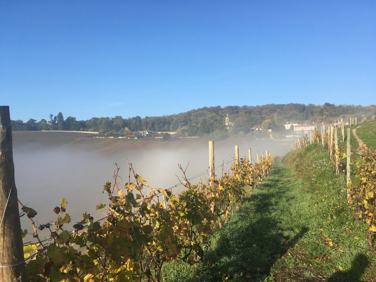 OkhuysenWijn's tweet photo. Vanmorgen vroeg startte onze inkoopreis door #champagne en #bourgogne - we bezochten #PierrePeters, #DomaineElise en #Billaud. Prachtig! https://t.co/uel8GMoIiW