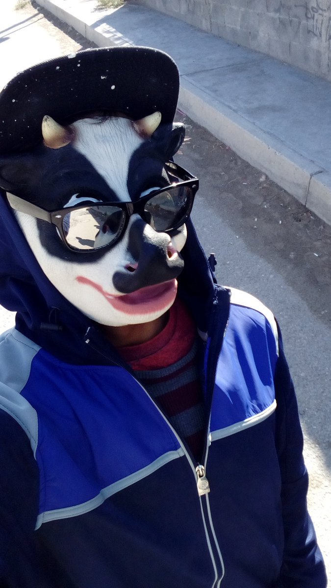 CharlyJay2's tweet photo. lol XD la vakita 100% real no fake https://t.co/uRr3zLNj4S