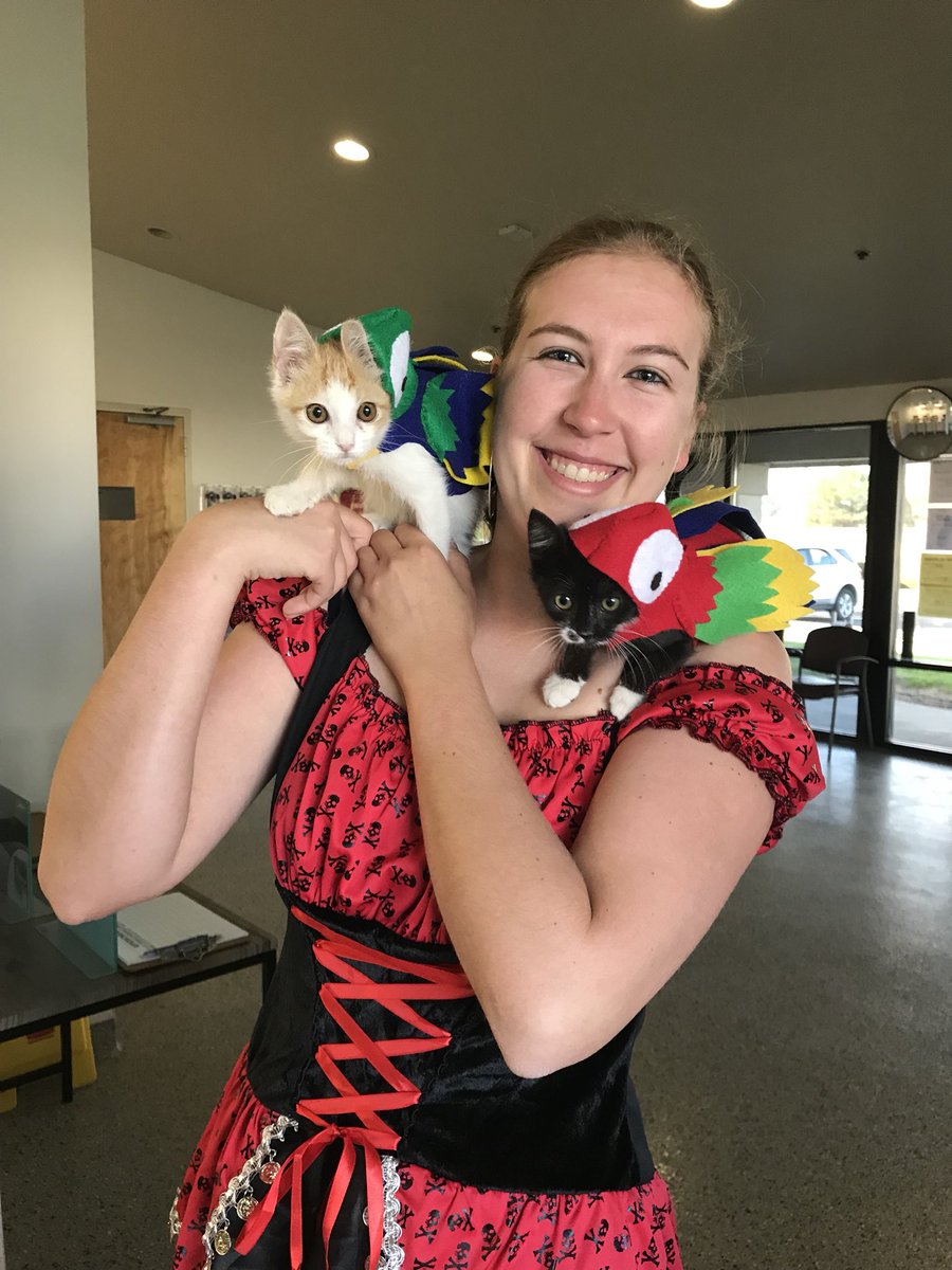 SacramentoSPCA's tweet photo. Happy Halloween! 🎃 
Foster mom Alex got in the holiday spirit with these costumes for her fosters. Yo ho, yo ho, a kitten’s life for me! https://t.co/dO7bneMQpL
