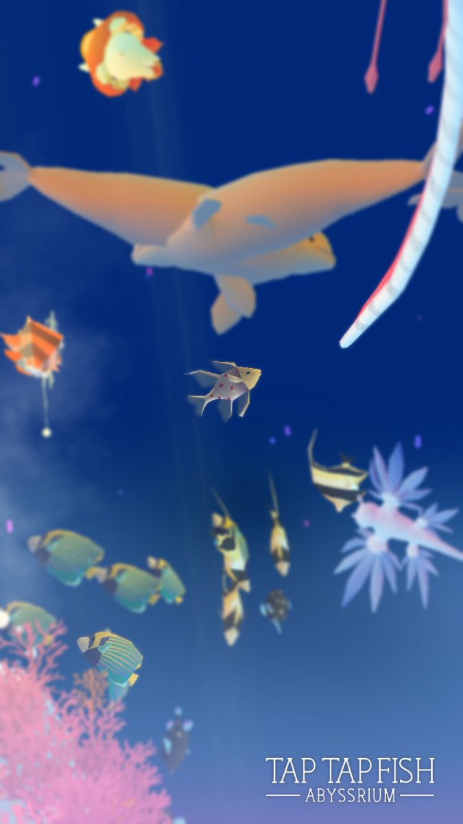 bohemheo's tweet photo. 나의 파자마 카디날:) 
#taptapfish
Download: https://t.co/gvHTHLbHdF https://t.co/SEE1Pyb3JG