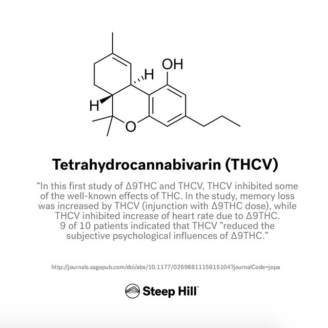 steephill_ak's tweet photo. Now Analyzing THCVA! @steephill_ak is proud to add THCVA, precursor to THCV, to the many cannabinoids analyzed in our $80 potency test. https://t.co/Cd9Gm03xL1