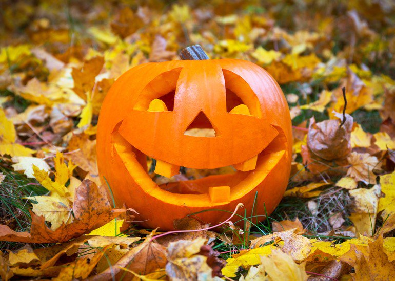 ThePerfectDerma's tweet image. Happy Halloween from Bella Medical Products!