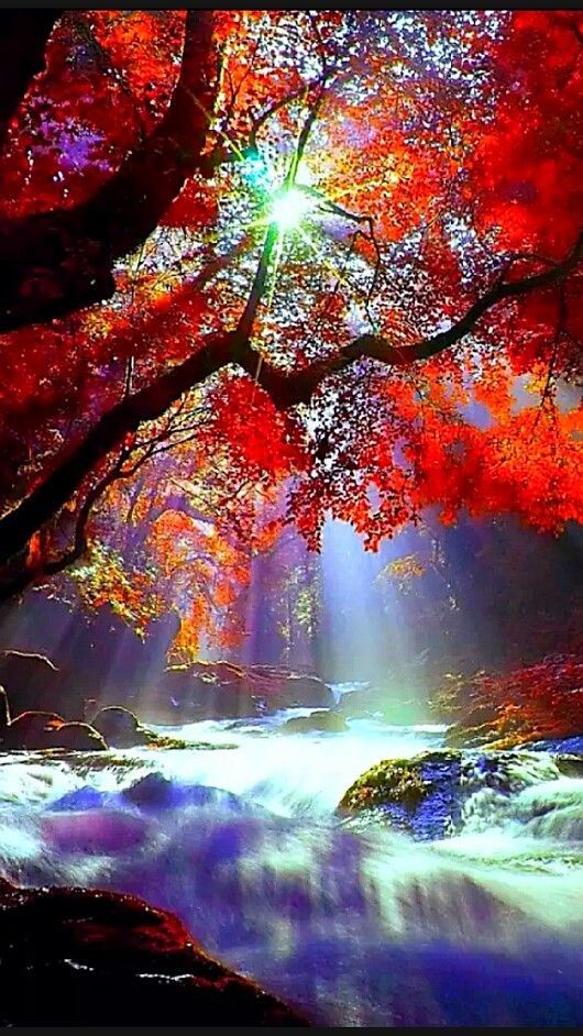 Dalle difficoltà sorgono le meraviglie