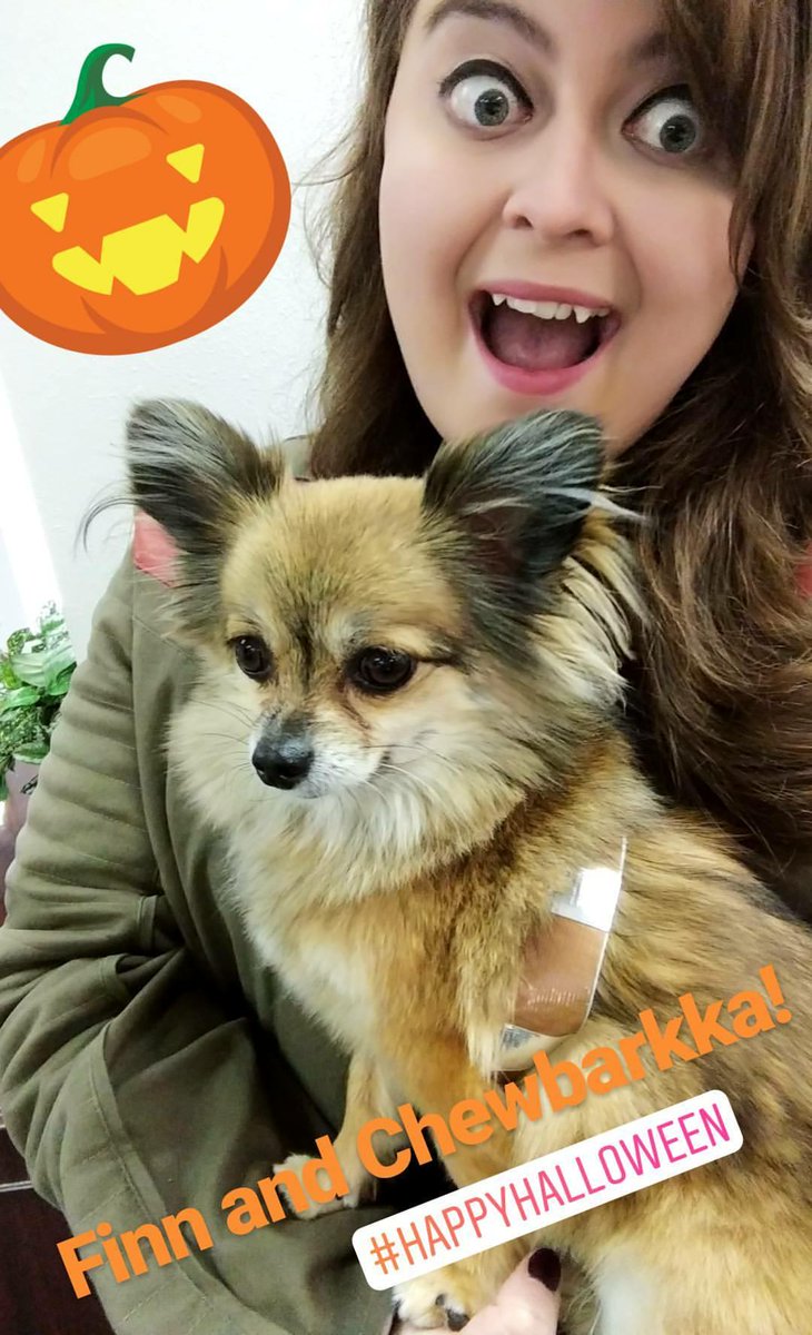 amber_amberson's tweet photo. Happy Halloween from Finn and Chewbarkka! #HappyHalloween #starwars #officedog #dogsoftwitter #droidplease https://t.co/UZGPf8YtY9