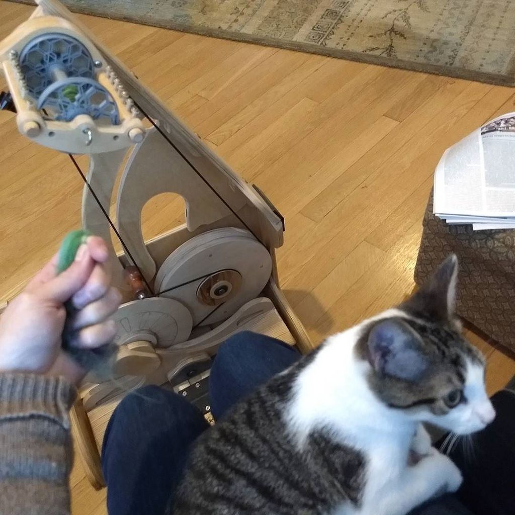 pennyshima's tweet photo. a good morning before work: a cuddling purring #fosterkitten, spinning #helloyarn #akerworks bobbin, & #moretea #t… https://t.co/QjGYRUoKRN https://t.co/gxgTlA3Zuh