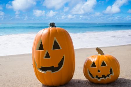 CTMMediaFL's tweet photo. #HappyHalloween We want to see your costumes &amp; #Halloween adventures! Use the hashtag #FunInFlorida for a chance to be featured on our page https://t.co/DjqRxClvVm