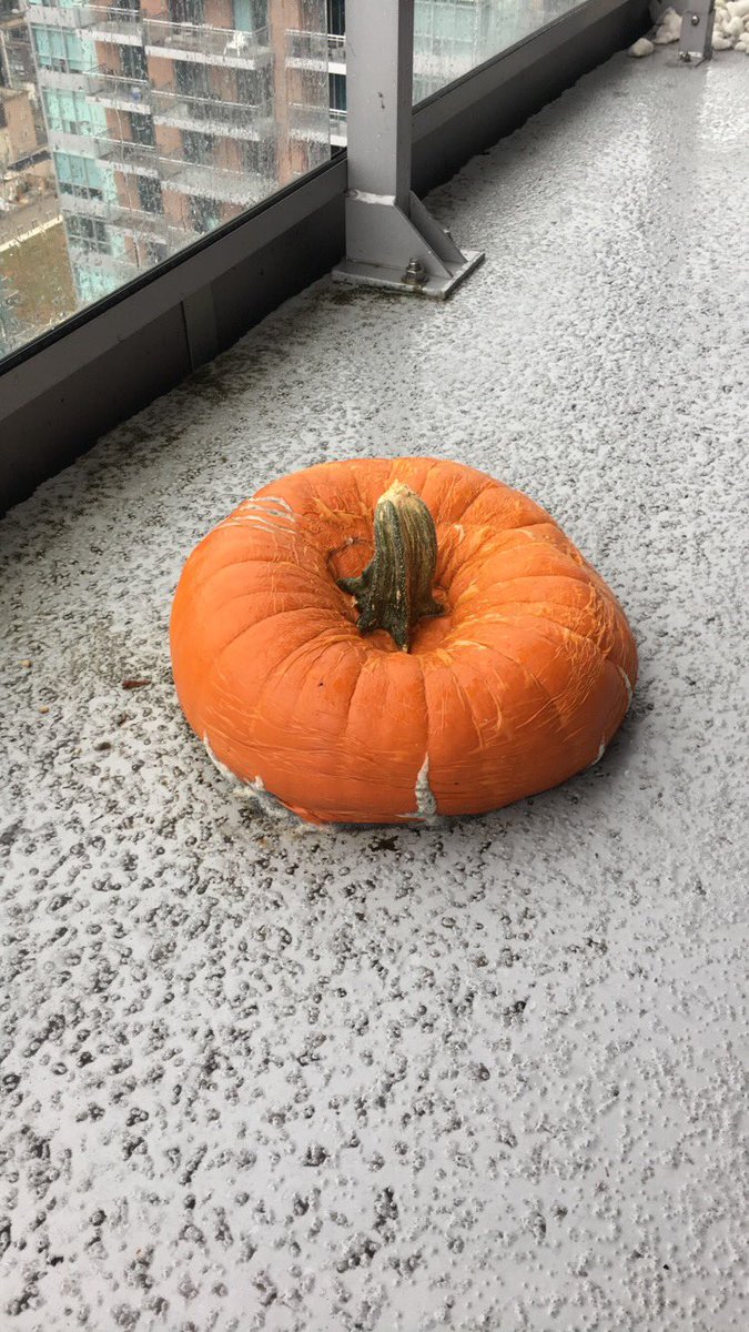 KIMIDANG's tweet photo. Happy Halloweenie 🎃 https://t.co/hLhjv7duRh