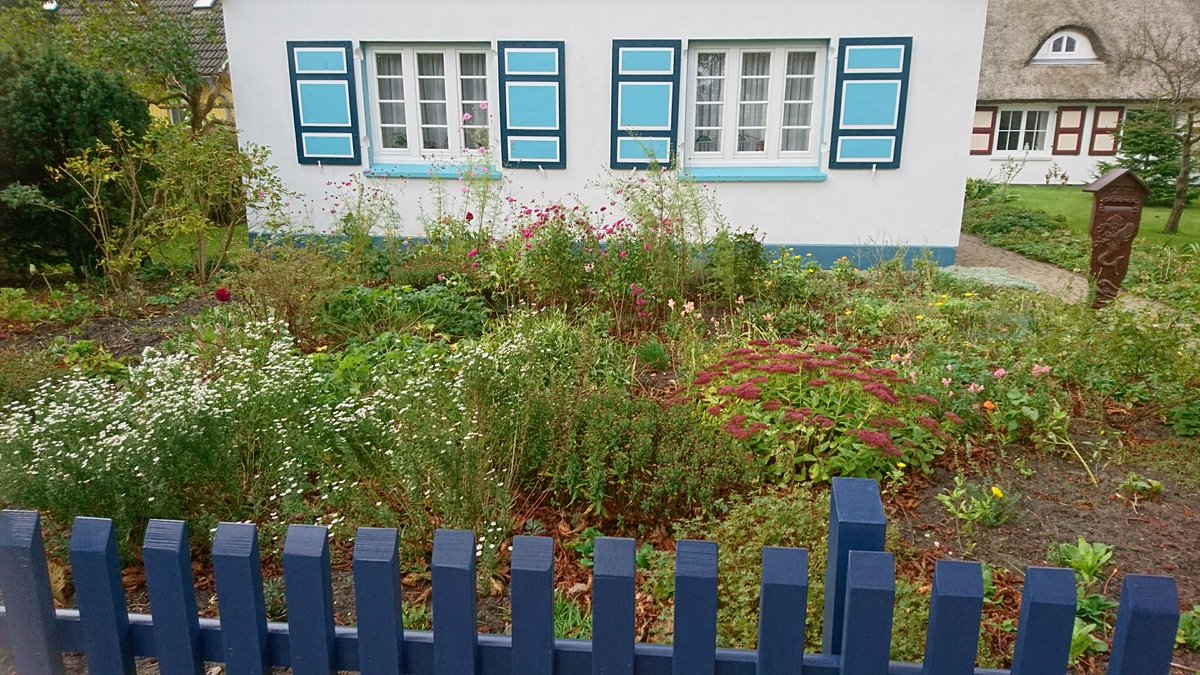 Gartenmom's tweet photo. Herbstlicher Vorgarten auf dem Darss https://t.co/u6ajLbhEcC