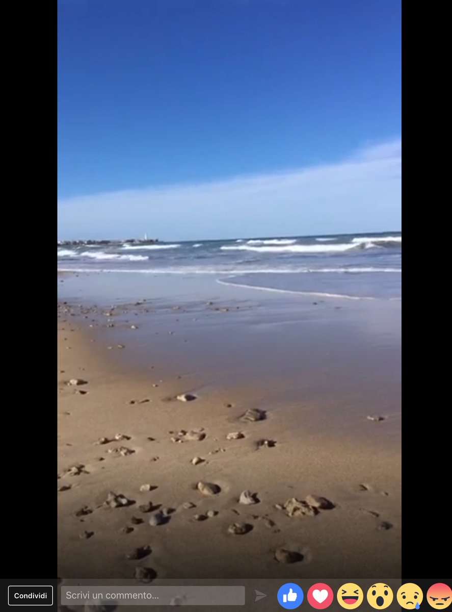 viaggiarepuglia's tweet photo. 🌊 La spiaggia, un ambiente naturale da preservare e rispettare. 
#WeAreinPuglia 

Diretta FB da @LiveyourPark 👉 https://t.co/E7emmpeCjD https://t.co/HVpbj4VuqG