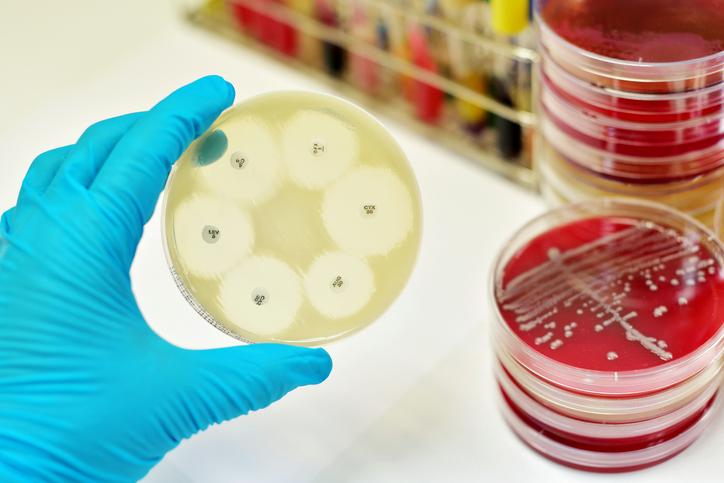 SCB_iec's tweet photo. Benvinguts recercaires, laboratoris, estudiants i ensenyants dv,3-Nov a la trobada #SCB_Microbiologia, 9:45 a l'@iec https://t.co/fcTWivKpMf https://t.co/dUG7fEncsa