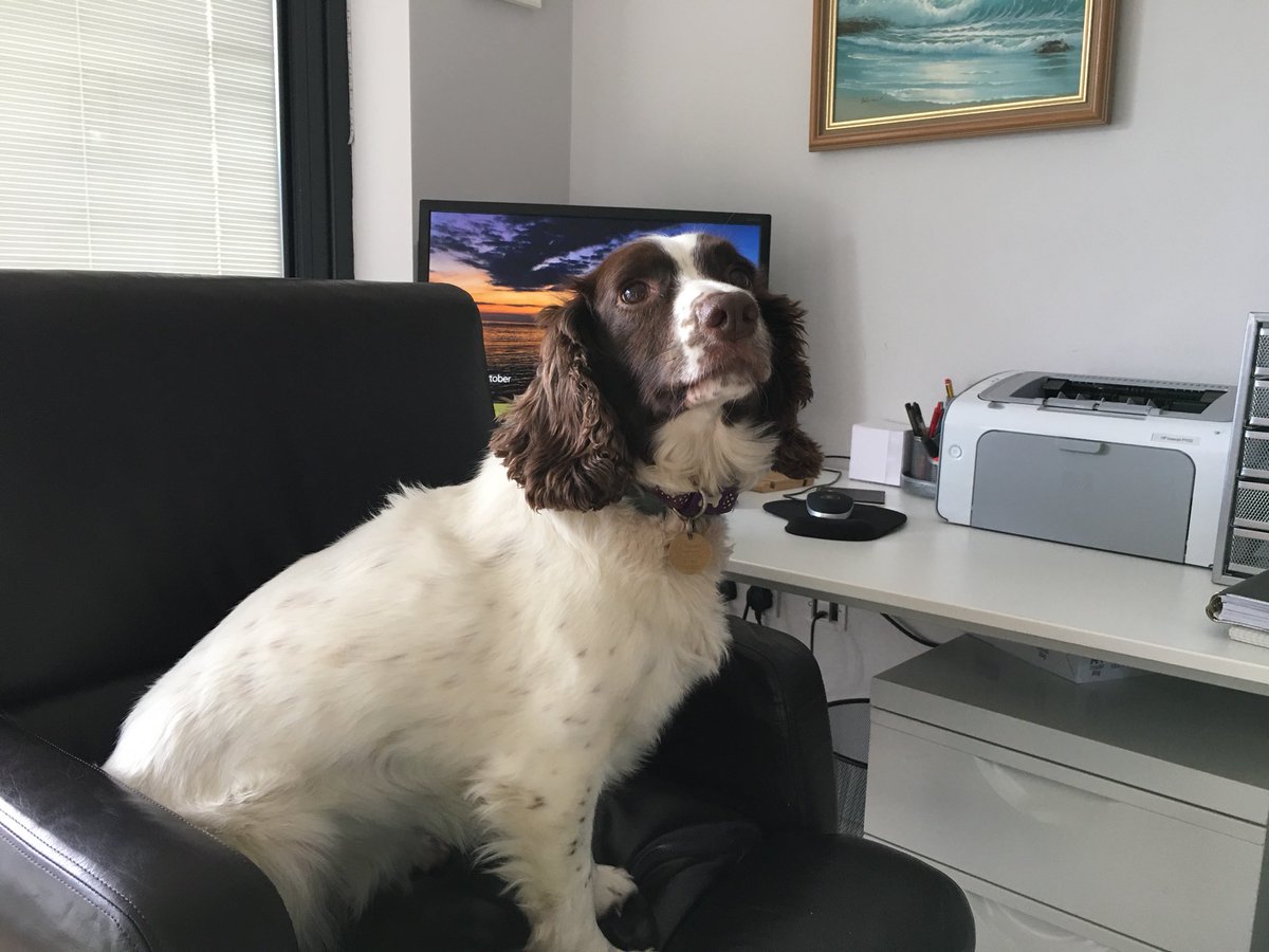 GrandVilleGroup's tweet photo. Please bare with us we’ve moved our offices around and the new recruit is still figuring out the phone system! (All of our contact details remain the same) #propertymanager #hastingspropertymanagement #hastingsproperty https://t.co/fsmspkQRji