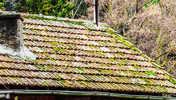 Have you read our recent blog post on how to look out for signs of a suffering roof? Read here now! buff.ly/2fyXcvR