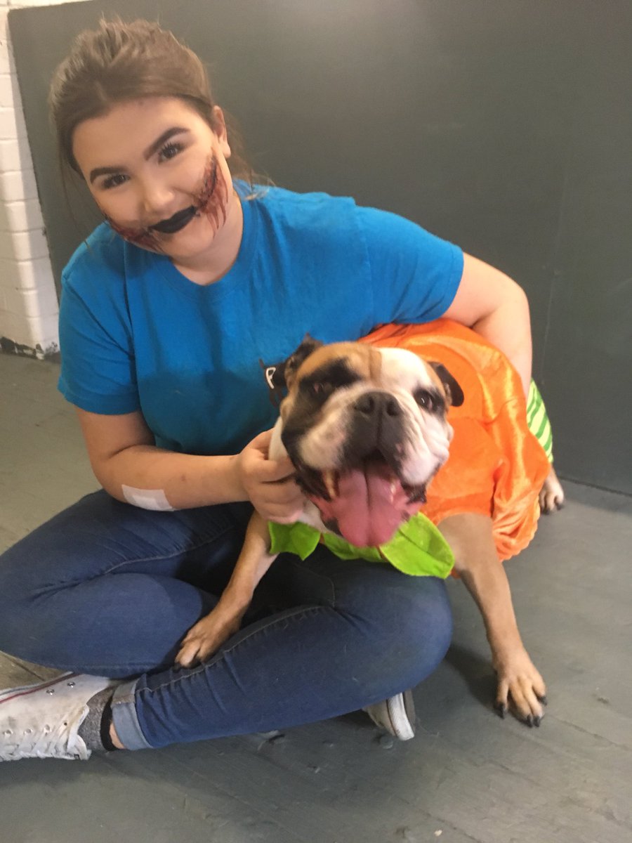 ruffles dog day care