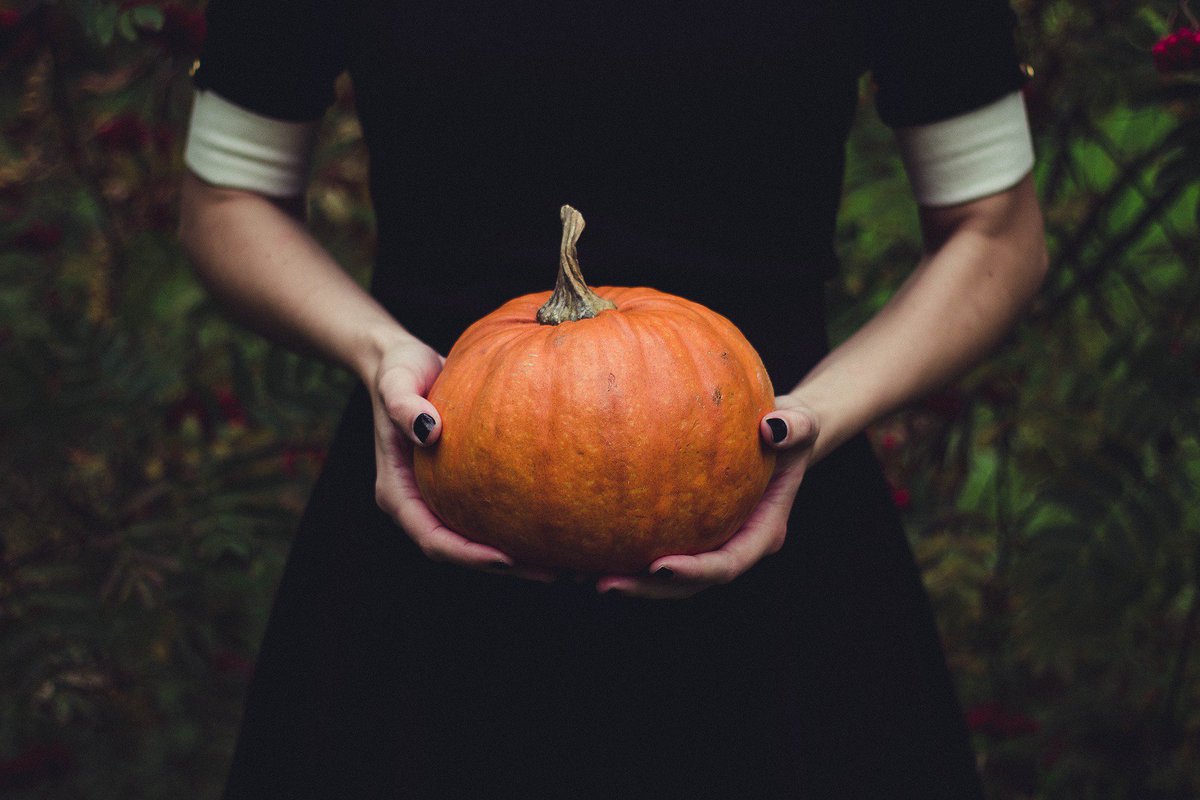 OptimalRD's tweet photo. Have a healthy halloween! Enjoy some pumpkin. 1 cup boasts 245% of your vitamin A needs. # healthy #halloween #pumpkin https://t.co/bDlNKuUdr7