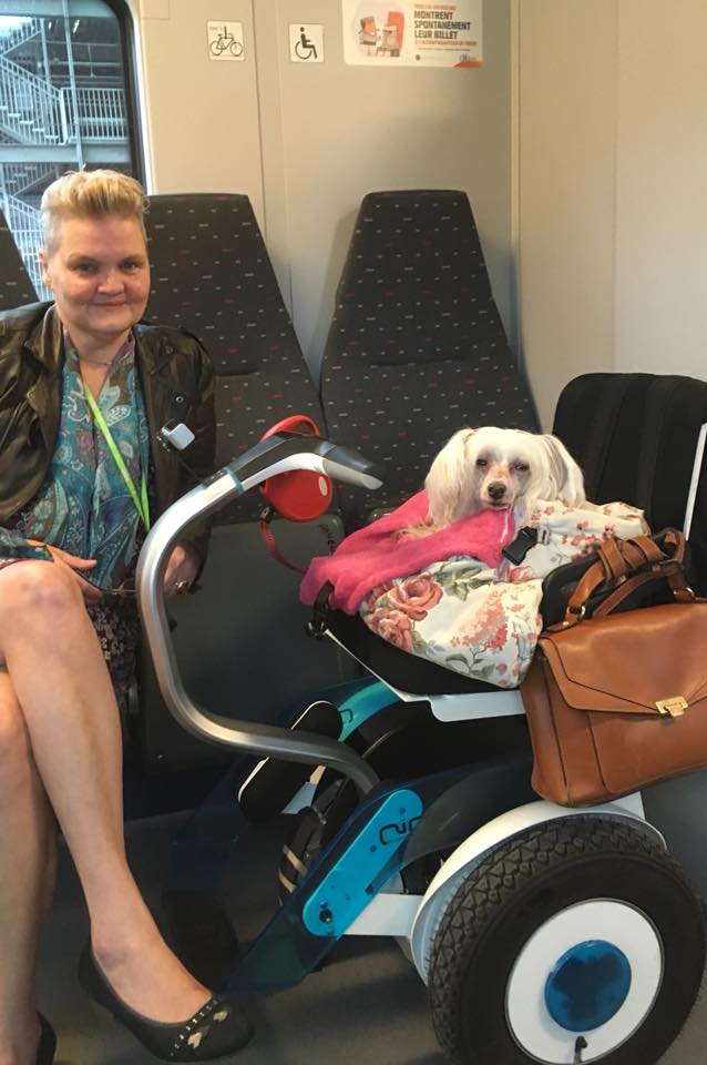 NinoNL01's tweet photo. Nino in de trein ! Geen enkel probleem 😀 #toegankelijk #vrijheid https://t.co/760pfkNEfm
