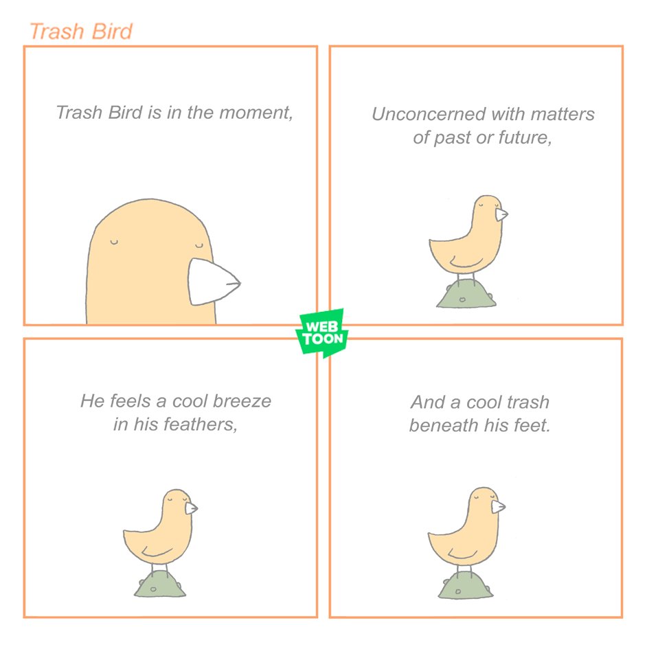 trash bird is the moment https://t.co/JUmwUiScqg 