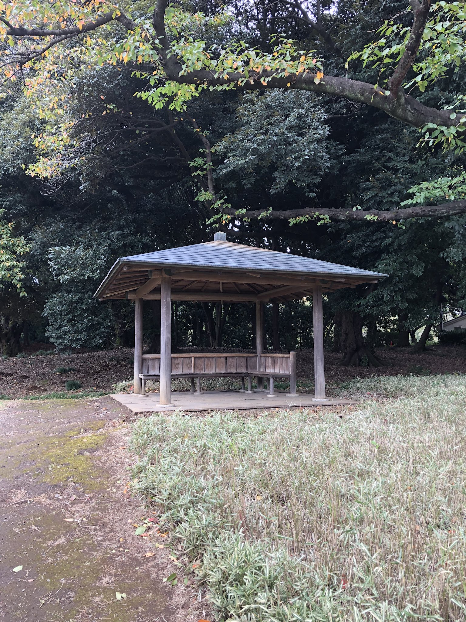 ほん 今日 言の葉の庭 の東屋を見に新宿御苑に行ってきたんだけど 最初に見つけた東屋 左画像 に これだー って興奮して座ったりいっぱい写真撮ったりして満足した後 帰る途中で本物 右画像 を見つけて一気にグッタリした しかも人が多くて近付け