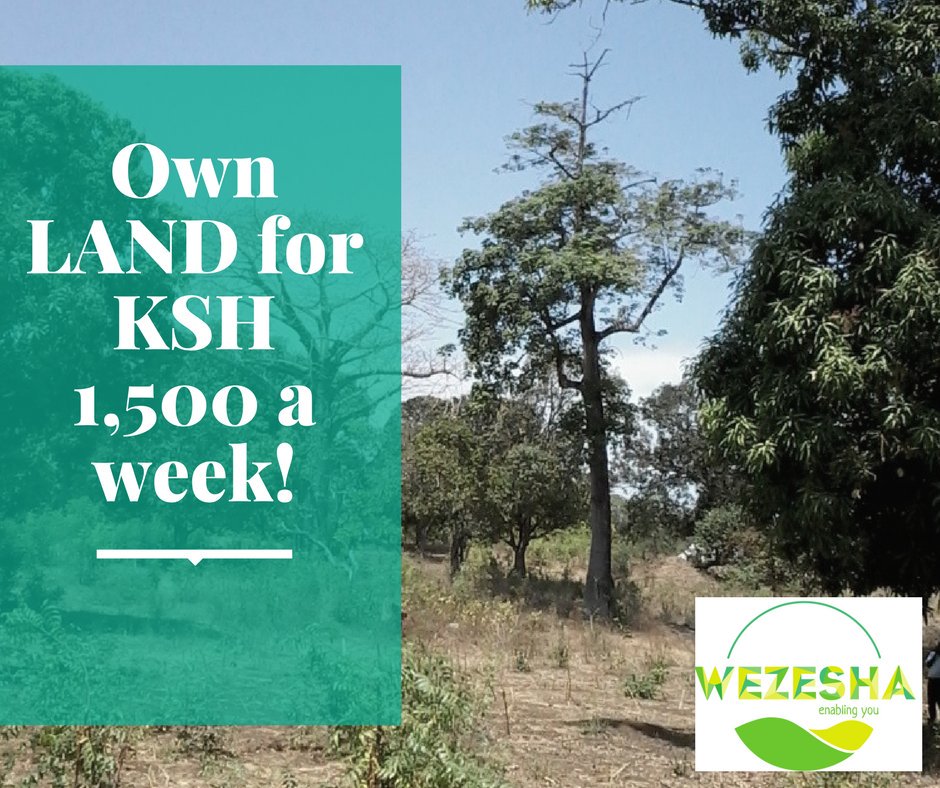 254_trendingk's tweet photo. The biggest opportunity that gives young people to be landlords just pap like the way we redeem weekly bundles, #wezesha its your season. https://t.co/vZ2sEOnZhj