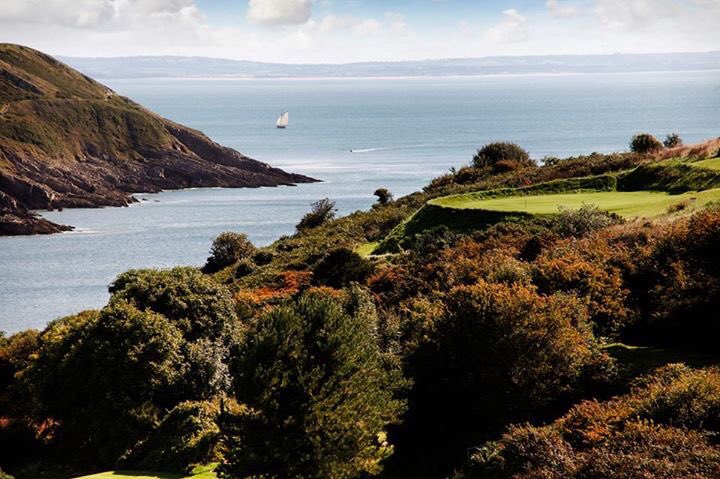 Langland Bay G.C tweet media