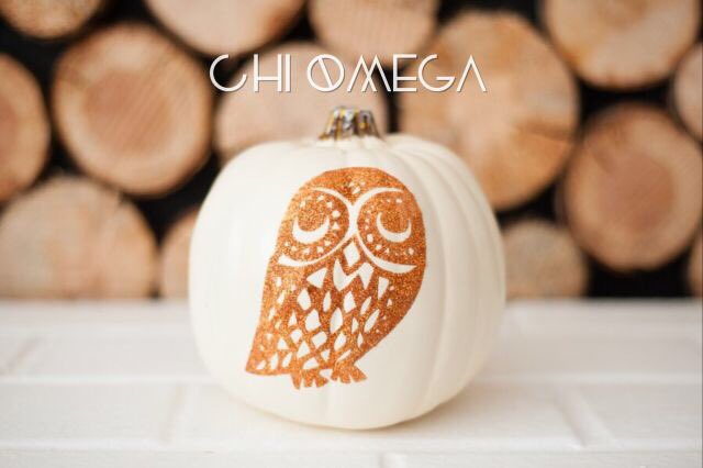 McNeese Chi Omega tweet media